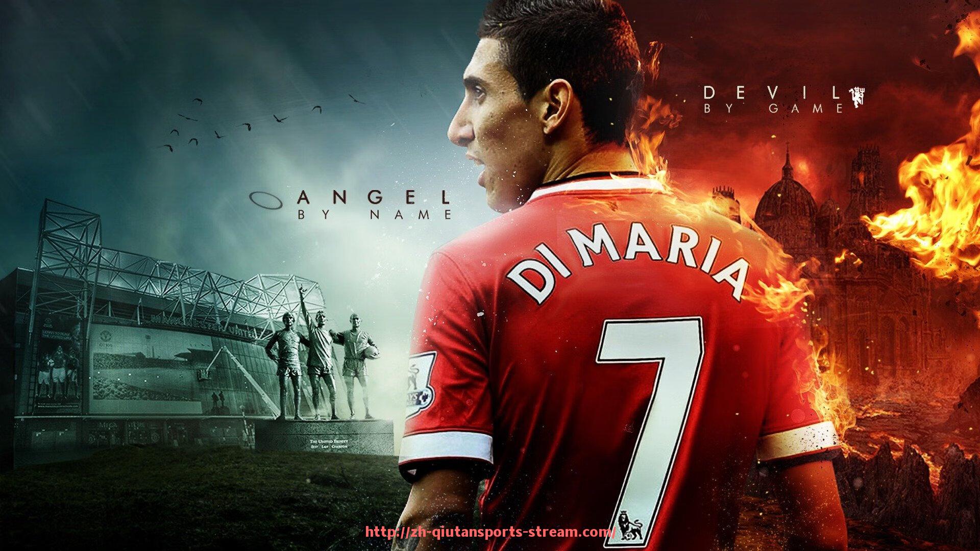 球探体育-世俱杯赛场环境观察,揭秘各大场馆的条件与氛围